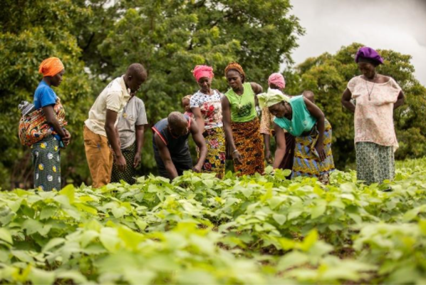 Burkina_Faso_and_Ghana_cross-border_farmers