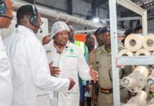 Kenya targets sugar mills as new source of electricity and biofuel to boost energy security