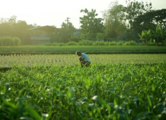 OPINION: Putting Foodprints on the Agenda for SA National Environment Month – Part 1