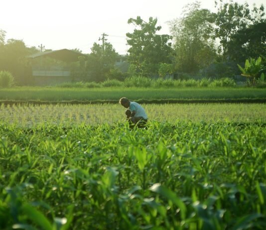 OPINION: Putting Foodprints on the Agenda for SA National Environment Month – Part 1