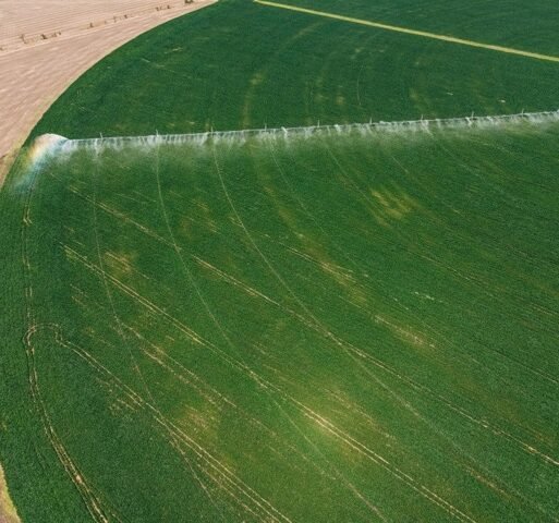 FPT_Irrigation Medium