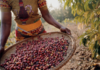 Jacobs brings sustainability to life through its Wunderbar Project in Tanzania