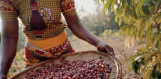 Jacobs brings sustainability to life through its Wunderbar Project in Tanzania