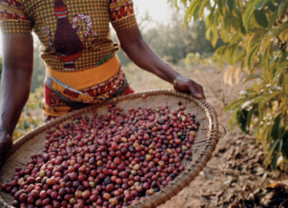 Jacobs brings sustainability to life through its Wunderbar Project in Tanzania
