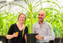Rainbow Crops raises €9.7M seed round to scale AI-driven multiplex gene editing for next-generation crops