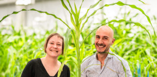 Rainbow Crops raises €9.7M seed round to scale AI-driven multiplex gene editing for next-generation crops