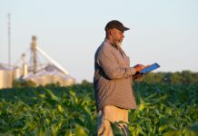 How AI is rewriting the rules for smallholder lending