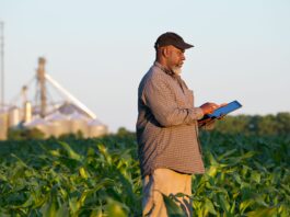 How AI is rewriting the rules for smallholder lending