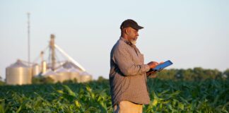 How AI is rewriting the rules for smallholder lending