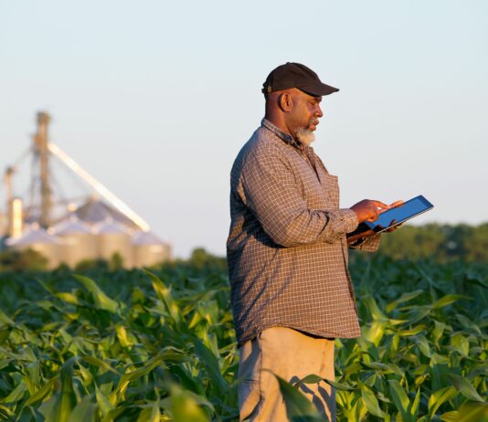 How AI is rewriting the rules for smallholder lending
