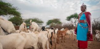 WOAH x GALVmed: Expanding Vaccine Access for Small-Scale Livestock Producers, Featured in “Animals & Us”