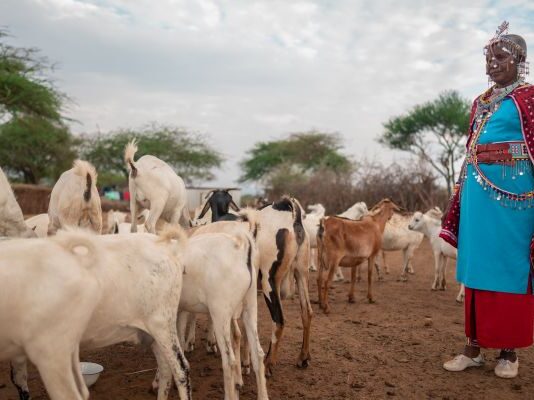 WOAH x GALVmed: Expanding Vaccine Access for Small-Scale Livestock Producers, Featured in “Animals & Us”