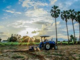 K4GGWA + New Holland: Innovation Call Launched to Restore the Great Green Wall