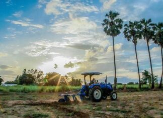 K4GGWA + New Holland: Innovation Call Launched to Restore the Great Green Wall