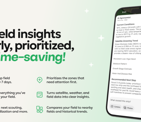 OneSoil’s new AI Agronomist converts 9 years of satellite data into farm-ready daily decision