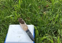Spot it. Stop it. Corteva urges early action on herbicide resistance