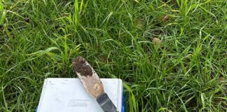 Spot it. Stop it. Corteva urges early action on herbicide resistance