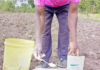 Bioline and Biolevel Partner to help kenyan farmers get more from every bag of fertiliser