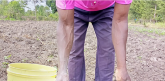 Bioline and Biolevel Partner to help kenyan farmers get more from every bag of fertiliser