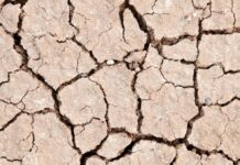 Battling Drought: How Drip-Irrigation Is Helping Farmers Thrive Amid Water Scarcity