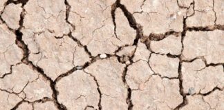 Battling Drought: How Drip-Irrigation Is Helping Farmers Thrive Amid Water Scarcity