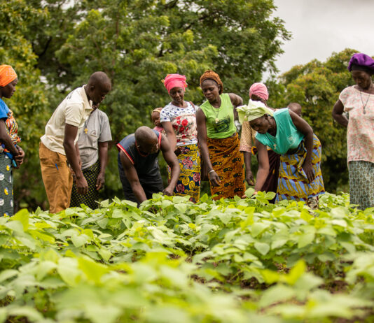 Nuru, Helmsley launch $7.5M cross-border initiative to spur agribusiness growth in Burkina Faso and Ghana