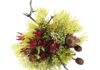 New from Woolworths: A unique bouquet rooted in the resilience of Western Cape’s indigenous flowers.