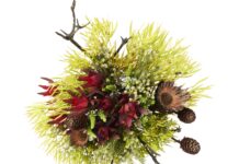 New from Woolworths: A unique bouquet rooted in the resilience of Western Cape’s indigenous flowers.