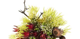 New from Woolworths: A unique bouquet rooted in the resilience of Western Cape’s indigenous flowers.