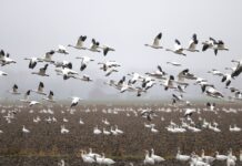 OPINION: Good Heavens – The Substance of Air in South African National Environment Month – Part 3