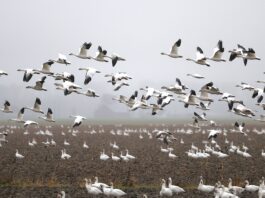 OPINION: Good Heavens – The Substance of Air in South African National Environment Month – Part 3