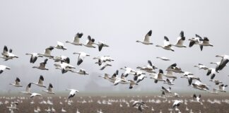 OPINION: Good Heavens – The Substance of Air in South African National Environment Month – Part 3