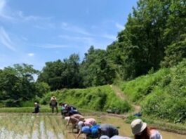 Scientists develop new framework for sustainable environmental conservation
