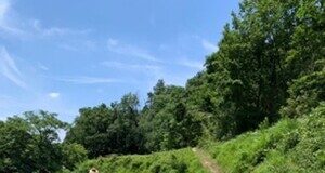 Scientists develop new framework for sustainable environmental conservation