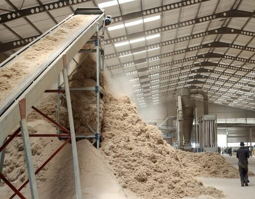 sugar processing at the West Valley Sugar Company