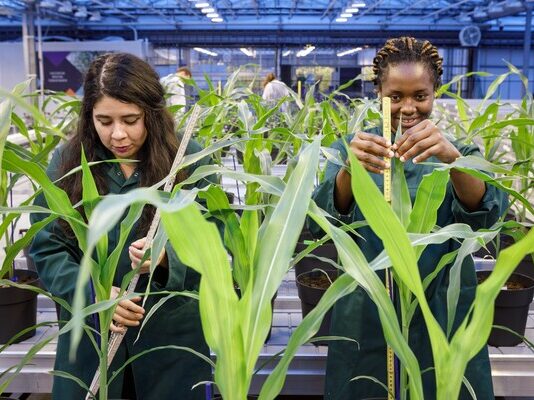 Flemish microbial agriculture research initiative secures €1.9m to boost performance of biological crop solutions
