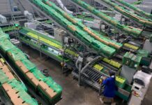 Major upgrades position Ceres Fruit Growers for future growth