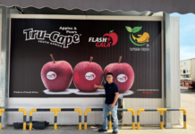 Chinese importer backs South African apples with landmark billboard campaign