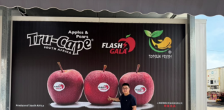 Chinese importer backs South African apples with landmark billboard campaign