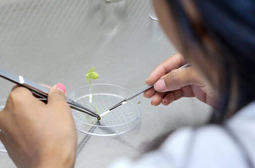 AI, biology-driven pangenetics