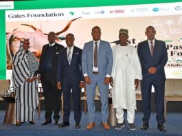 African ministers call for harmonised trade systems to unlock continent’s pastoral livestock economy
