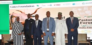 African ministers call for harmonised trade systems to unlock continent’s pastoral livestock economy