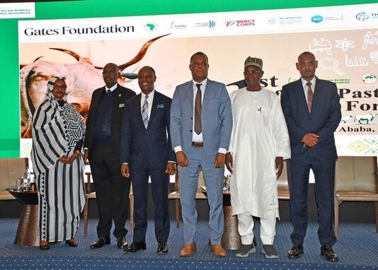 African ministers call for harmonised trade systems to unlock continent’s pastoral livestock economy