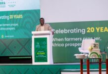 Uganda urged to close research-to-farm gap as AGRA marks 20 years of agricultural transformation