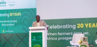 Uganda urged to close research-to-farm gap as AGRA marks 20 years of agricultural transformation