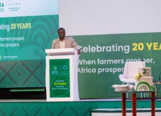 Uganda urged to close research-to-farm gap as AGRA marks 20 years of agricultural transformation