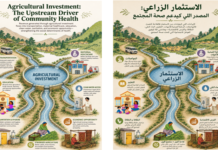 The Invisible Infrastructure of Rural Morocco: Why Investing in Agriculture is Investing in Public Health