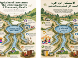 The Invisible Infrastructure of Rural Morocco: Why Investing in Agriculture is Investing in Public Health