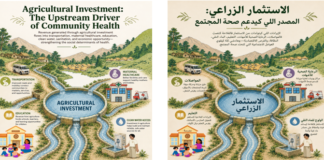 The Invisible Infrastructure of Rural Morocco: Why Investing in Agriculture is Investing in Public Health