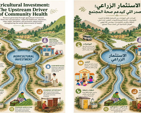 The Invisible Infrastructure of Rural Morocco: Why Investing in Agriculture is Investing in Public Health